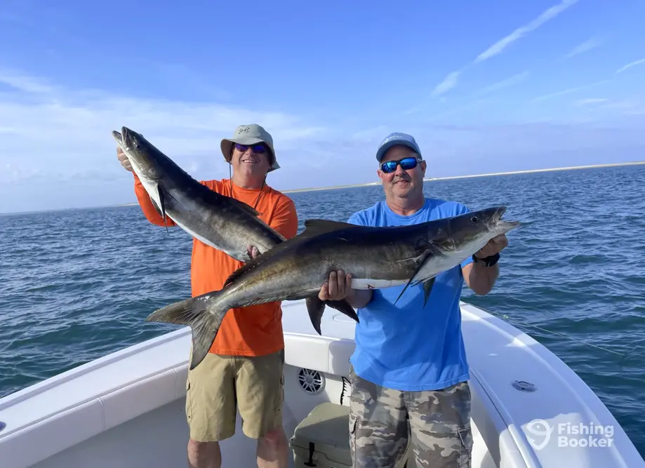 charter image 6