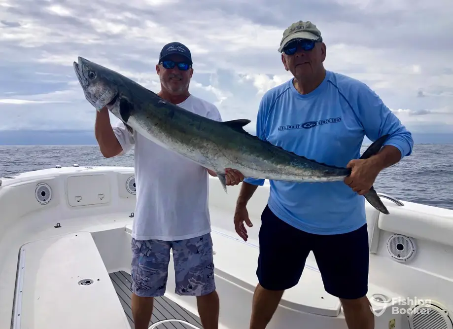 charter image 6
