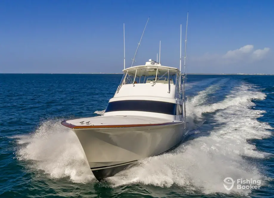 Custom Sportfishing charter image 3