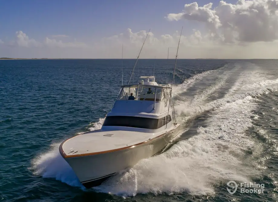 Custom Sportfishing charter image 5