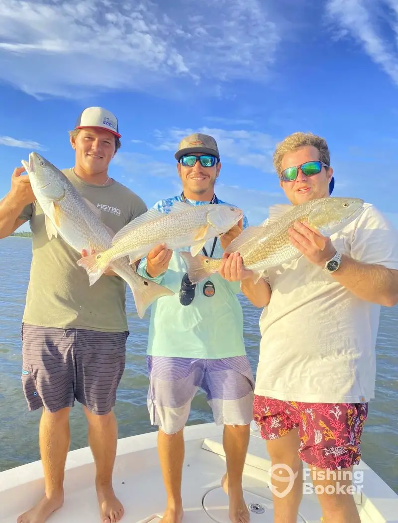 Tide Tight Guide Service