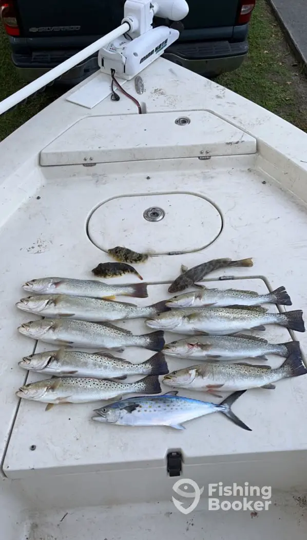 charter image 5