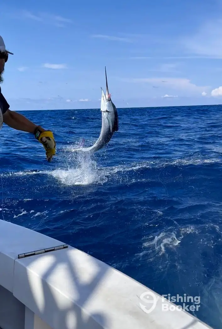 charter image 3