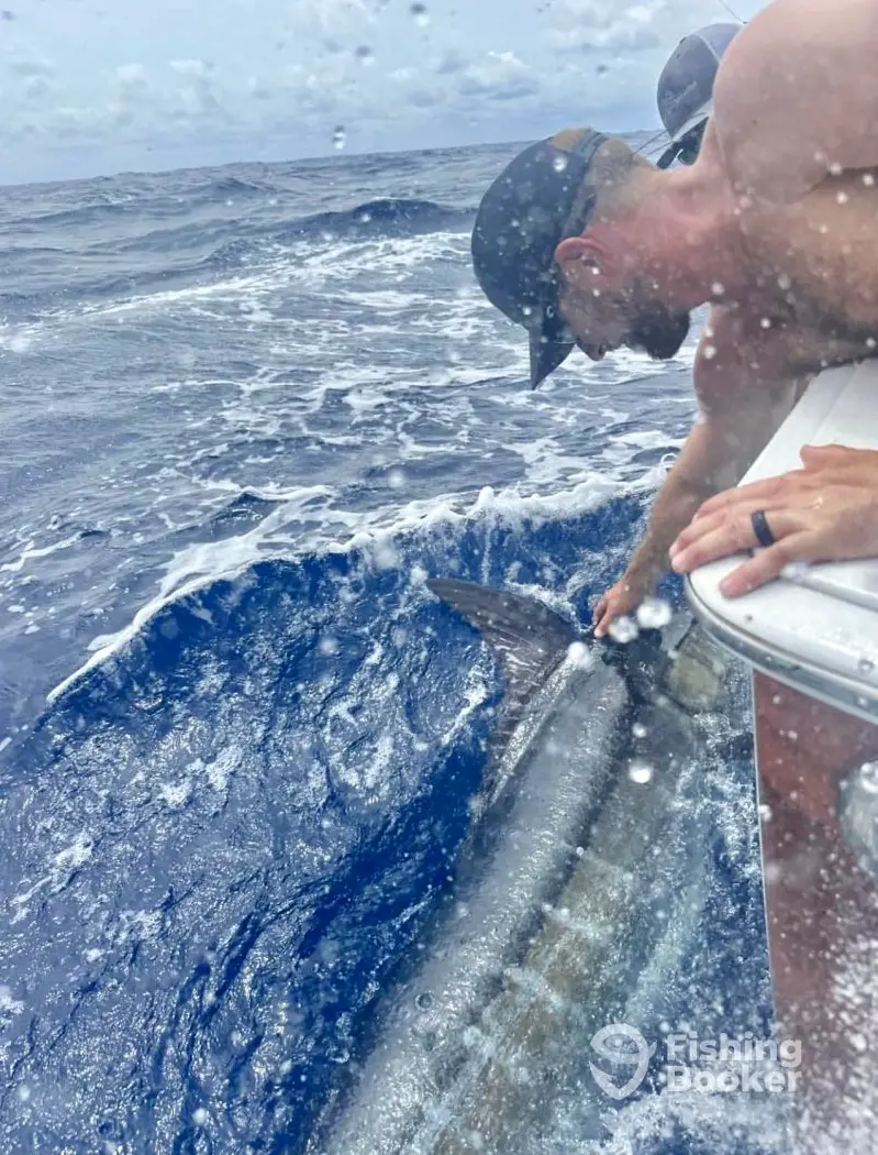 charter image 4