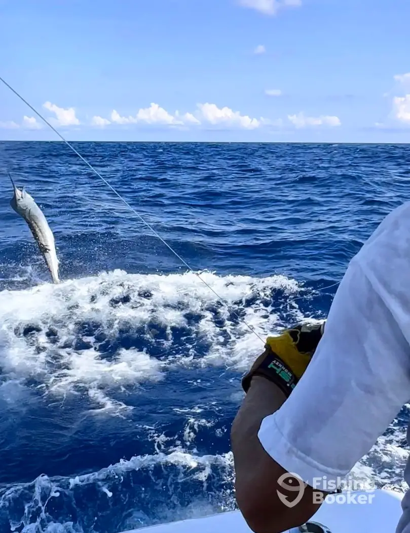 charter image 5