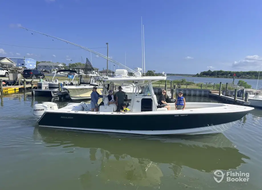 CJ Sportfishing