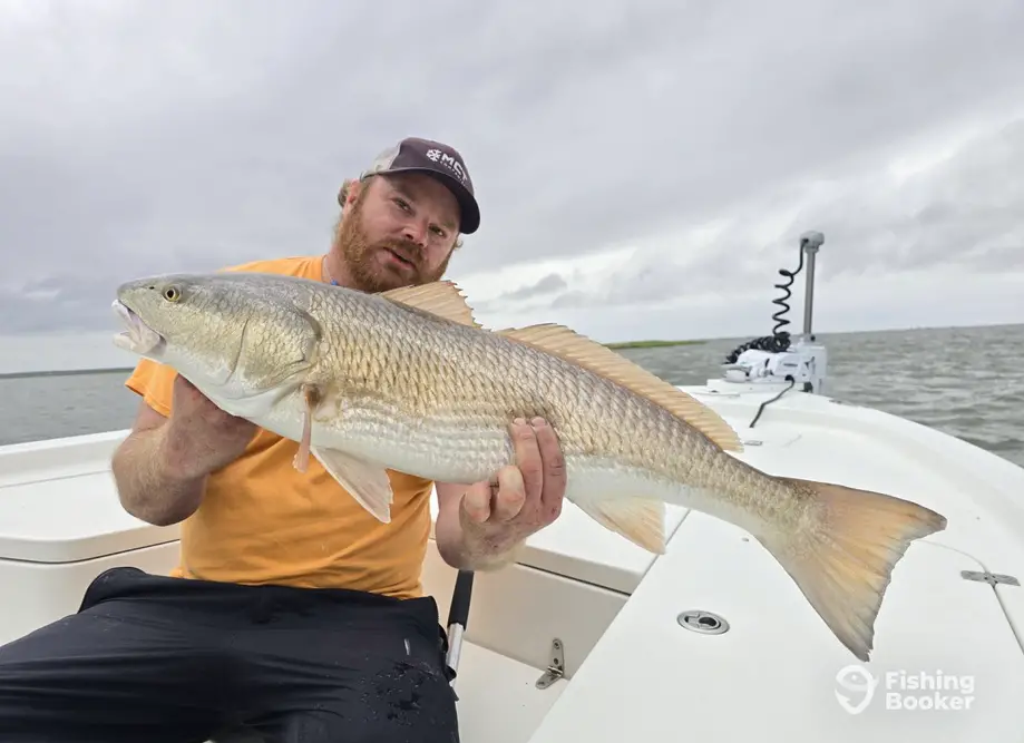 Pamlico Point Guide Service charter image 3