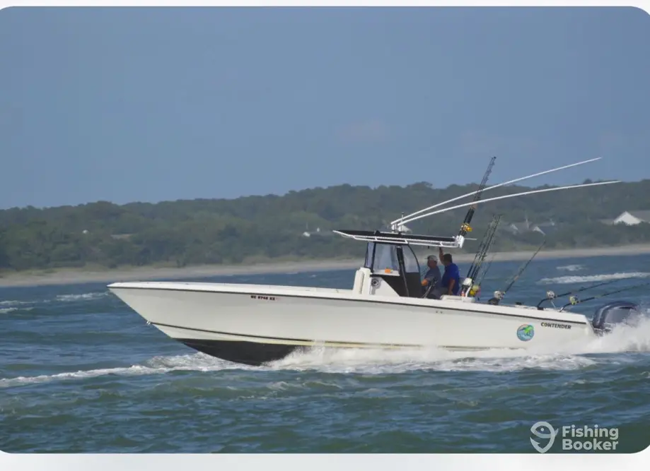 Hook Line Charters Contender 36