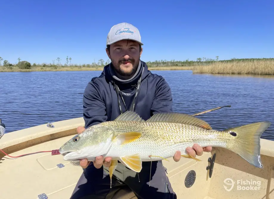 Inshore fly fishing/ sight fishing charter image 3