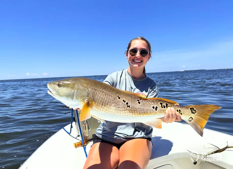 Inshore fly fishing/ sight fishing charter image 6