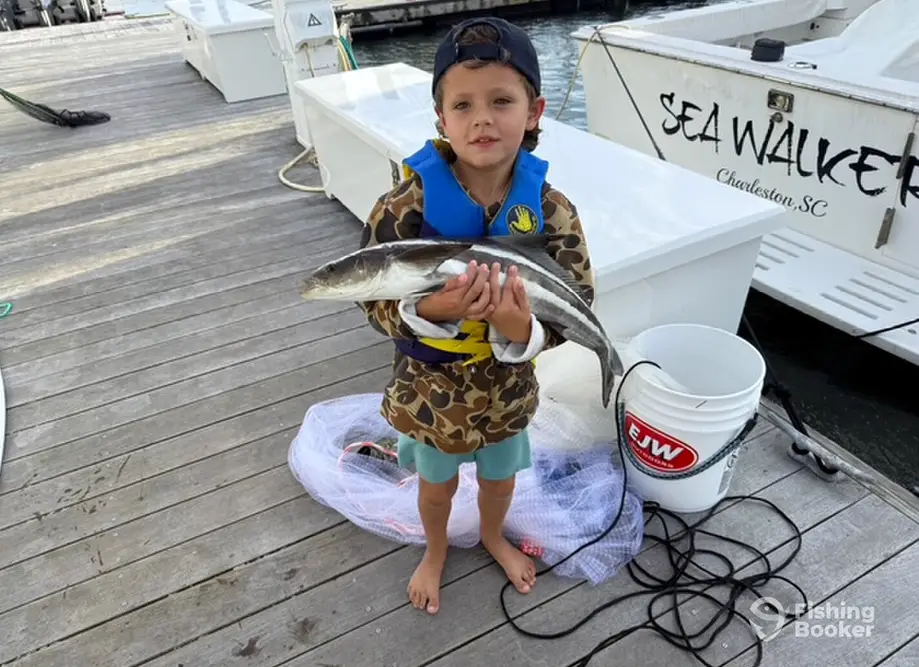 Captain Joe's Charter